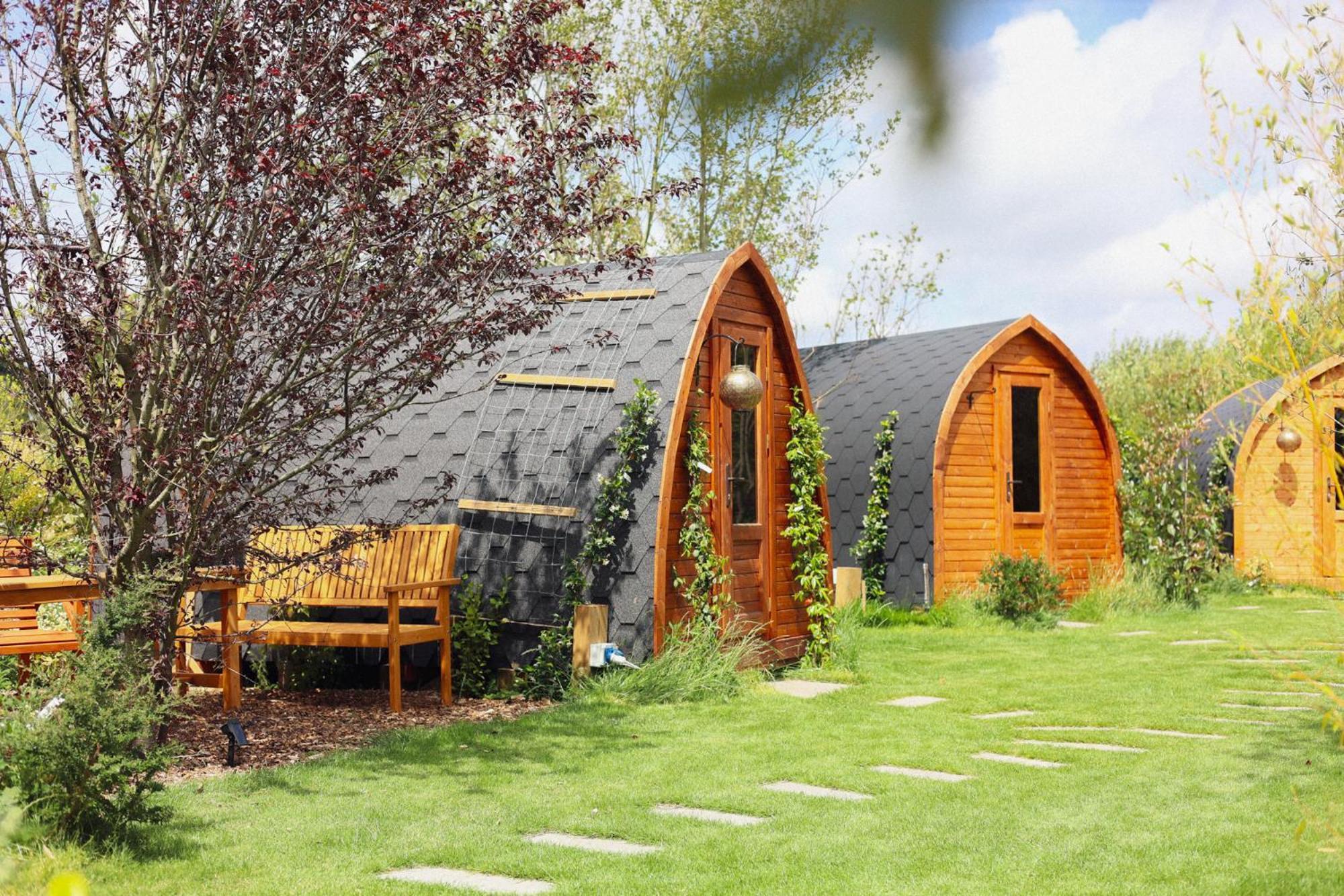 Dragonfly Glamping Spa Retreat Ashford  Exterior foto